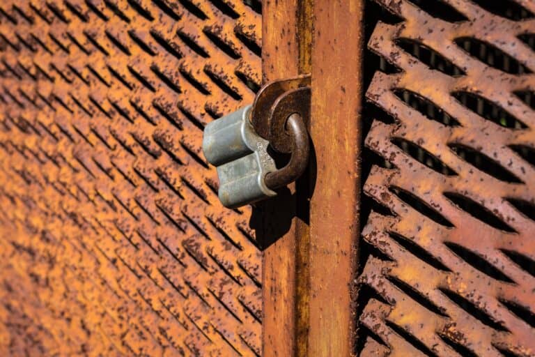 Real-Life Probate Horror Stories & Lessons Learned